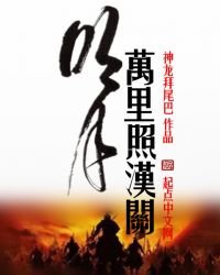 明月万里照汉关
